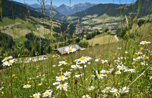 Alpbach Apartment | Haus Dorferstuck