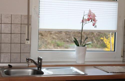 Cond Apartment | Haus Flora - Ferienwohnungen