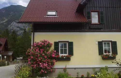 Obertraun Apartment | Haus Fratnik