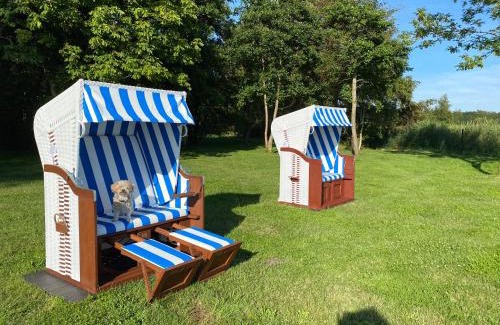 Zingst Apartment | Haus Hugo Zingst