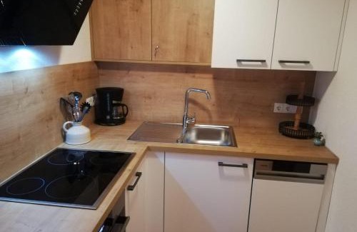 Wildschoenau Apartment | Haus Jenewein