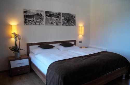Racines Apartment | Haus Maiern