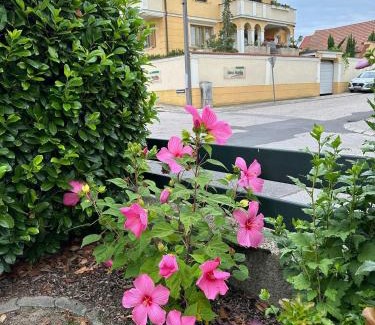 Morbisch am See House | Haus Martin - Schneeberger
