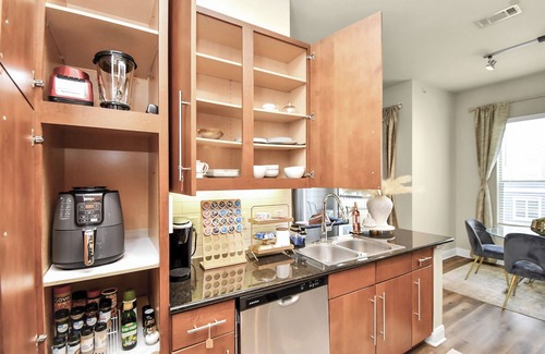 South Main Apartment | Haus of Blush. Near NRG. FREE Shuttle to TX Med Center