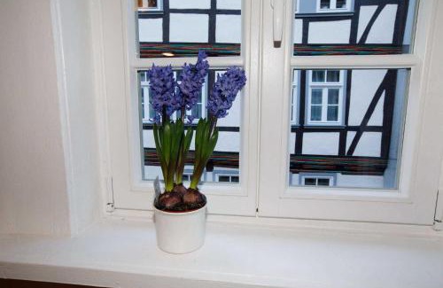 Hannoversch Munden Apartment | Haus Petersilie