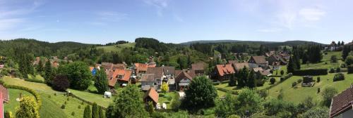 Altenau Apartment | Haus Reimann