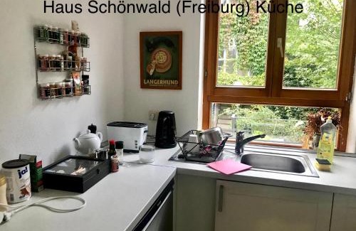 Freiburg im Breisgau Apartment | Haus Schönwald