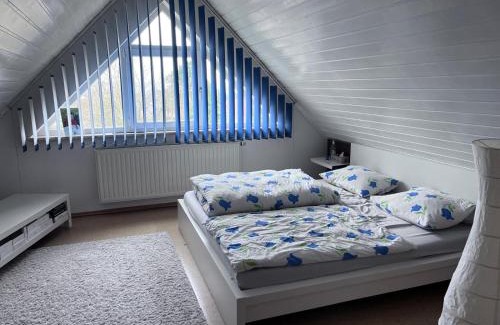 Weissenburg in Bayern House | Haus Schnürleinsmühle