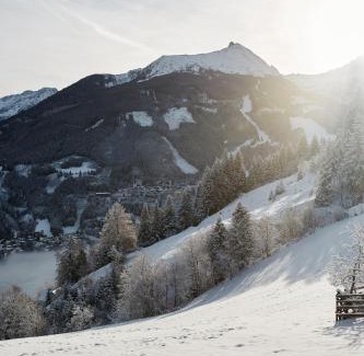 Bad Gastein Apartment | Haus Talblick