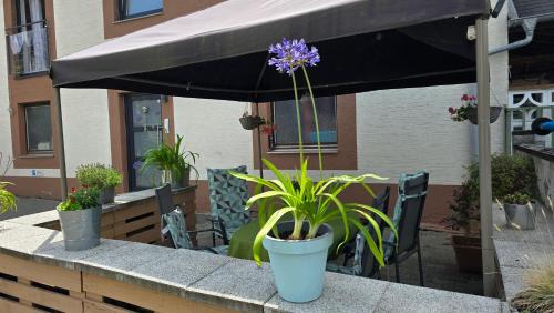 Zeltingen-Rachtig Apartment | Haus Valentonio