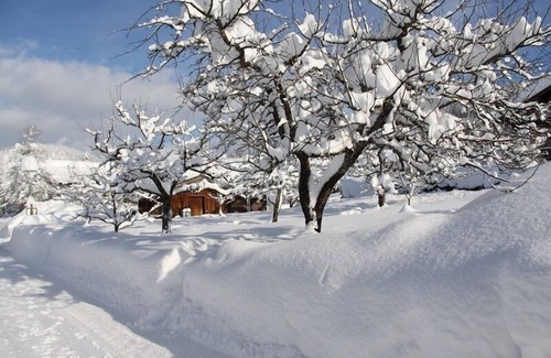 Blindau Apartment | Hausberg vacation apartment with mountain view