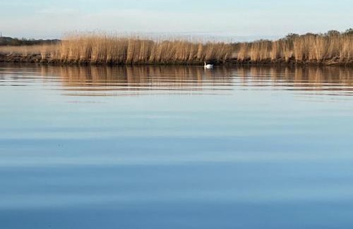 Gager Boat Rental | Hausboot Dotterbart
