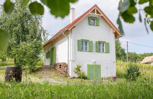 Deutsch Schuetzen-Eisenberg House | Hausimweinberg