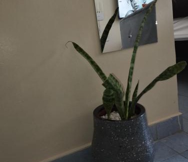 Ongata Rongai Bed & Breakfast | Haven Homes