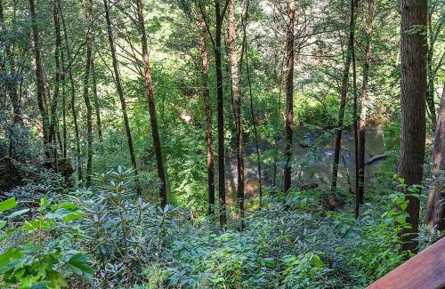 Cherry Log House | Hazy Hideaway with View of Ellijay River in the North GA Mountains
