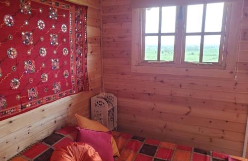 Glastonbury Bed & Breakfast | Healing Waters Sanctuary for Exclusive Private Hire and Self Catering Board, Vegetarian, Alcohol & Wifi Free Retreat in Glastonbury