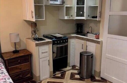 Managua Apartment | Heart of Managua Apartment #2