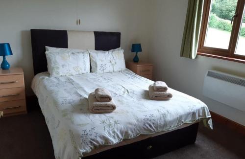 Llanddewi Ystradenny Resort | Heartsease Lodges