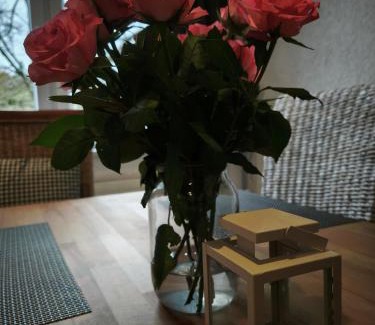 Celle Apartment | Hehlentor-City Gäste Wohnung