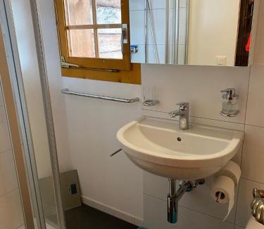 Staldenried Gspon Apartment | Heimelige Wohnung in einem Walliser Haus