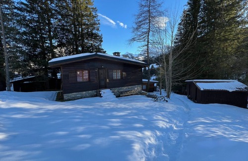Adelboden Ski Chalet | Heimeliges Chalet in Adelboden