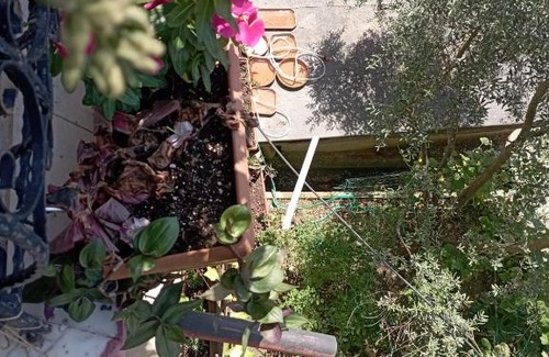 Avsallar Villa | helal el diyar ayranci village
