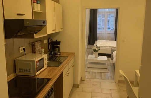 Vysehrad Apartment | Helen Homestay Vyšehrad