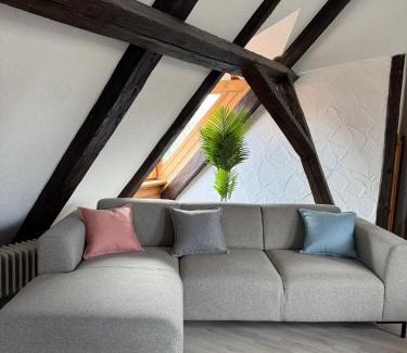 Villingen-Schwenningen Apartment | Helles Loft mit Charme
