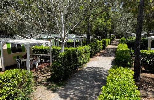Marina di Bibbona Other | Helloocamp