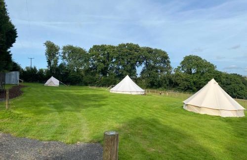 Boncath Other | Hendre Glamping Retreat- The Sparrow's Nest