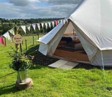 Boncath Other | Hendre Glamping Retreat- The Sparrow's Nest