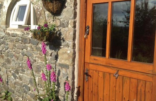 Llandovery Bed & Breakfast | Henllys Estate B and B