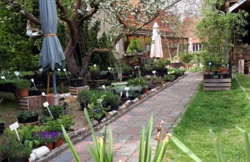 Schwielowsee Apartment | Herb Heidi Garden