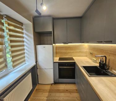 Jelgava Apartment | Hercogs