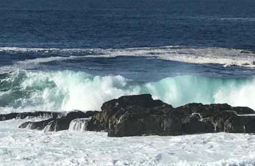 Hermanus House | Hermanus Haven, entire home, on the sea, private pool, secure