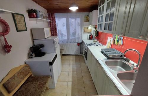 Zdiar Apartment | Hermina Family Apartment Tatras