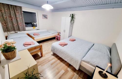Zdiar Apartment | Hermina Family Apartment Tatras