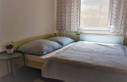 Zdiar Apartment | Hermina Family Apartment Tatras