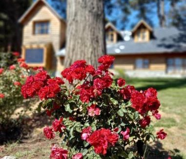 San Carlos de Bariloche Apartment | Hermosas Cabañas frente con vista al Nahuel Huapi