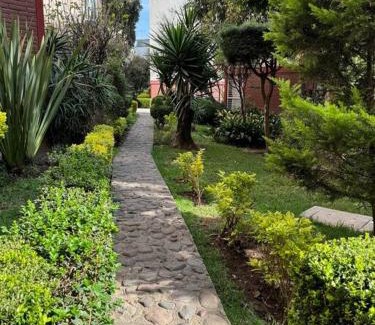 Coyoacan Apartment | Hermoso Descanso en Coyoacán
