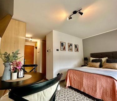 Concepcion Apartment | Hermoso Estudio