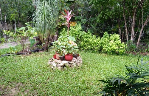 Cozumel Apartment | Hermoso y tranquilo departamento a 5 minutos del pueblo. En Villa Colibrís.