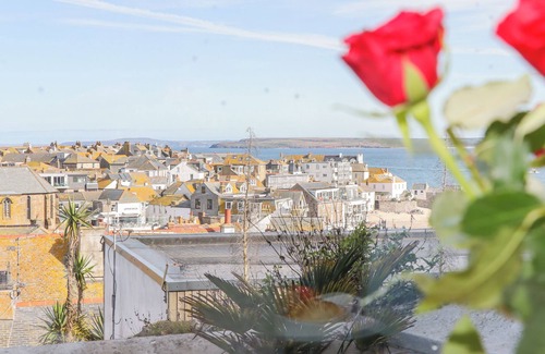 St Ives Cottage | Heron