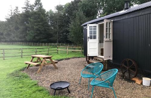 Hexham Other | Hexhamshire Shepherd Hut