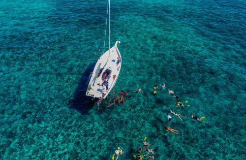Caye Caulker Apartment | Hidden Treasure Vacation Home Bay Blue Suite 2