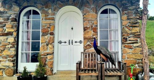 Takaka Hill Other | Hidden Valley Hamlet