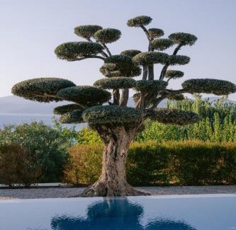 Sigacık Hotel | Hiddenbay Teos Hotel