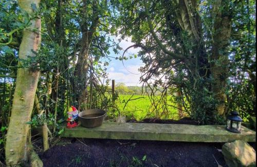Leek Other | Hide and Sheep Shepherds Hut