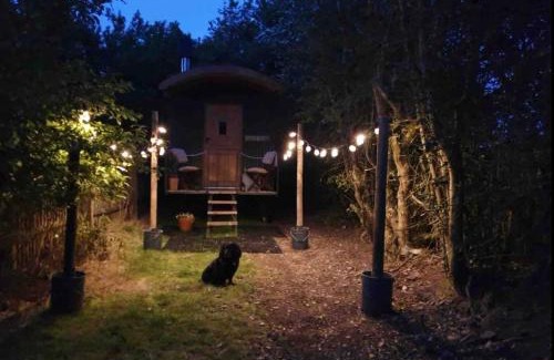 Leek Other | Hide and Sheep Shepherds Hut