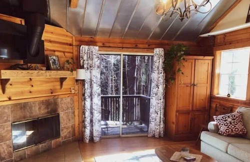 Mills River Cabin | Hideaway Cabin in the Woods- Pond, Trails & Nature